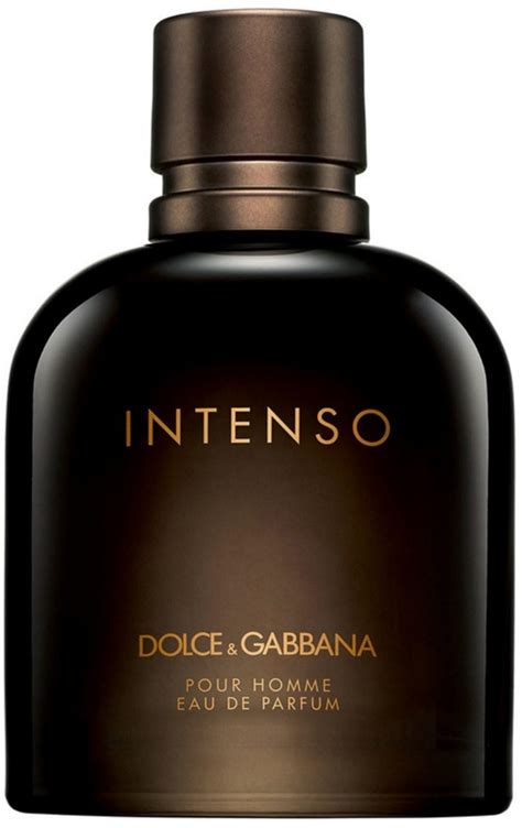 dolce gabbana men's sale.